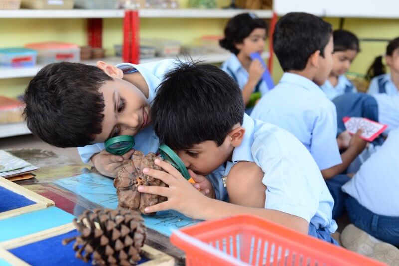 Nature Area at Generation's School